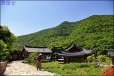 Naver search result photo 1