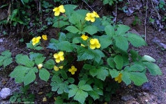 산행기 - ◈ 아직도 끝나지 않은 산행 강천산... 중에 산성산입니다. 2007.5.8