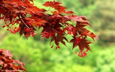 산행기 - ◈ 아직도 끝나지 않은 산행 강천산... 중에 산성산입니다. 2007.5.8