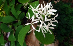 산행기 - ◈ 아직도 끝나지 않은 산행 강천산... 중에 산성산입니다. 2007.5.8