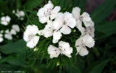 산행기 - ◈ 아직도 끝나지 않은 산행 강천산... 중에 산성산입니다. 2007.5.8