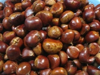 ♪ 바삭하고, 달콤, 고소한 밤맛탕~!