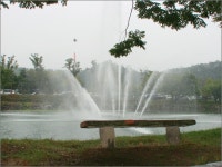 임실군 > 오수면 > 새소식 > 자유게시판