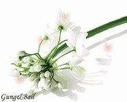 봄과 함께 오신 당신