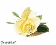 봄과 함께 오신 당신