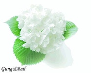 봄과 함께 오신 당신