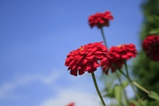 회원리뷰 - 충청북도  농업과학관,,,,!! 회원리뷰 - 충청북도 농업과학관,,,,!!