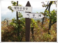 오케이몰, 1등 온라인쇼핑몰을 목표로