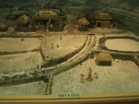 회원리뷰 - 충청북도  농업과학관,,,,!! 회원리뷰 - 충청북도 농업과학관,,,,!!