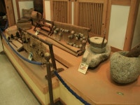 회원리뷰 - 충청북도  농업과학관,,,,!! 회원리뷰 - 충청북도 농업과학관,,,,!!