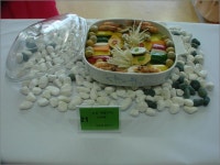 임실군 > 오수면 > 새소식 > 자유게시판