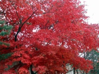 산행기 - 예기치 못한 사정으로 우이령에서 접어야만 했던 한북정맥