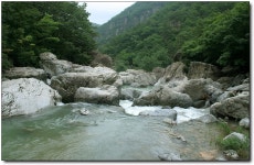 8월산행지..추천합니다.(도장산과 쌍용계곡) - Daum 카페 산악대장님!!  8월산행지..추천합니다.(도장산과 쌍용계곡)