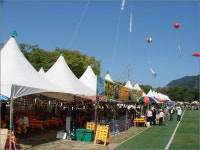 임실군 > 오수면 > 새소식 > 자유게시판