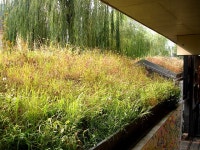 인사동 쌈지길 화장실 낙서