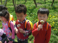∴∵영주어린이집에 오신 것을 환영해요!∴∵
