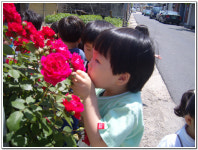∴∵영주어린이집에 오신 것을 환영해요!∴∵
