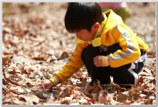 ∴∵영주어린이집에 오신 것을 환영해요!∴∵