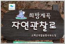 ∴∵영주어린이집에 오신 것을 환영해요!∴∵