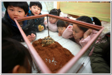 ∴∵영주어린이집에 오신 것을 환영해요!∴∵