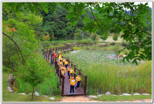 ∴∵영주어린이집에 오신 것을 환영해요!∴∵