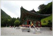 ∴∵영주어린이집에 오신 것을 환영해요!∴∵