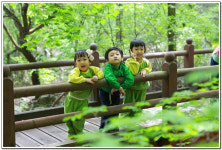 ∴∵영주어린이집에 오신 것을 환영해요!∴∵