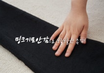 [[제이라벨8탄]아스코로 밍크기모스키니팬츠] 시크폭스