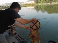 초원낚시터 유료낚시터 > **조황소식&수상좌대이벤트** : 낚시사랑