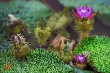 해평연지 - 지역별 출사지정보 출사코리아