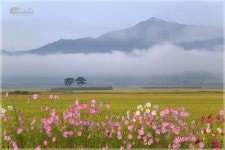 오늘의 평사리 - 자유게시판 출사코리아