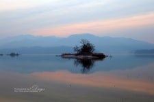오늘 대청호(약수터식당 앞) 상황입니다. - 자유게시판 출사코리아