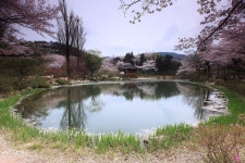 오늘 암곡마을입니다. - 자유게시판 출사코리아