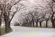 오늘 암곡마을입니다. - 자유게시판 출사코리아