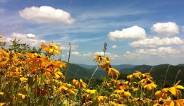 시원합니다 . - 자유게시판 출사코리아