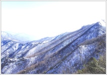 계룡산 산행 - 자유게시판 출사코리아
