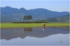 오늘의 평사리 - 자유게시판 출사코리아