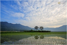 오늘의 평사리 - 자유게시판 출사코리아