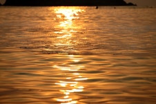 금맥발견~~(2) 황금바다... - 자유게시판 출사코리아