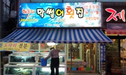막썰어 지점 냈습니까? - 자유게시판 출사코리아