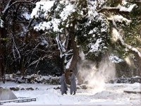 다들 더우시죠??? - 자유게시판 출사코리아