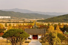 ☆ 경주 통일전 은행나무 단풍 ☆ - 출사지 소식 출사코리아