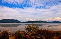 향수 - 자유게시판 출사코리아