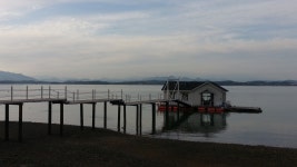 현재 실안카페 상황 - 자유게시판 출사코리아