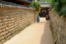 날으는것 잡기 - 자유게시판 출사코리아