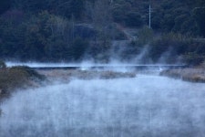 오늘도 출근길 물안개와 함께ㅎㅎ - 자유게시판 출사코리아