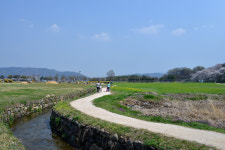 어제 경주 반월성 - 자유게시판 출사코리아