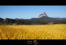 마이산 시리즈 올림니다.~ - 자유게시판 출사코리아