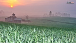 생생정보통에 나온 안성목장 - 자유게시판 출사코리아