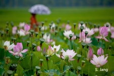 [간단 출사기]   2012 여름 휴가 - 자유게시판 출사코리아